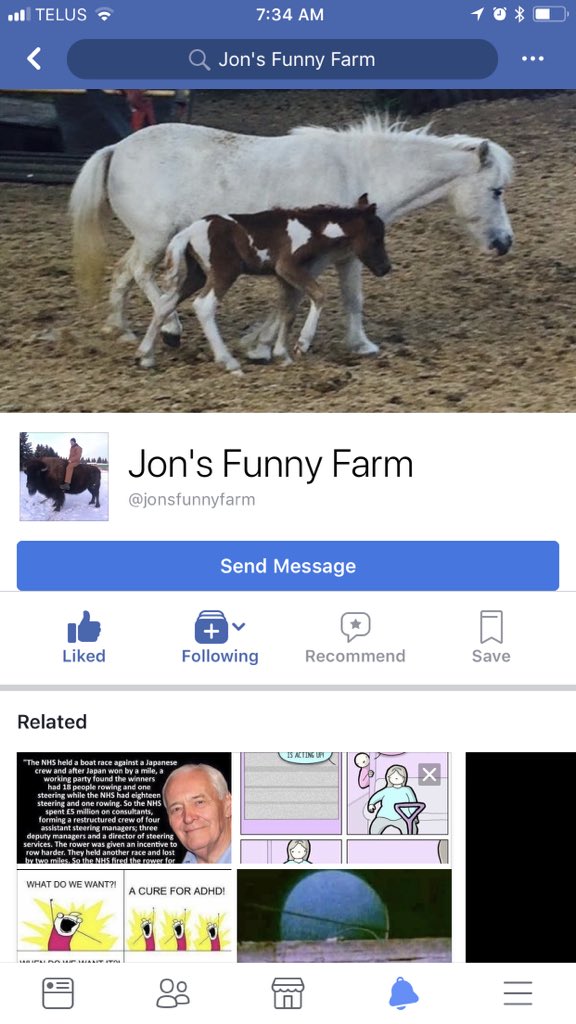 prima_stone's tweet photo. @BoxSocialYEG Jon’s Funny Farm! He used to run the petting zoo at WEM. https://t.co/mMGPlBlpm0