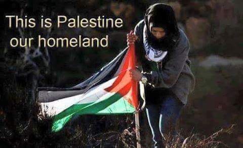 GilbertGreg647o's tweet photo. #ICC4Bibi #ICC4Israel 550 Arab Palestinians exterminated in 2014. @realDonaldTrump @nikkihaley @JulietteBB08 @Nicolejunemcka1 @cyanbutterfly https://t.co/agVUUIZDPA