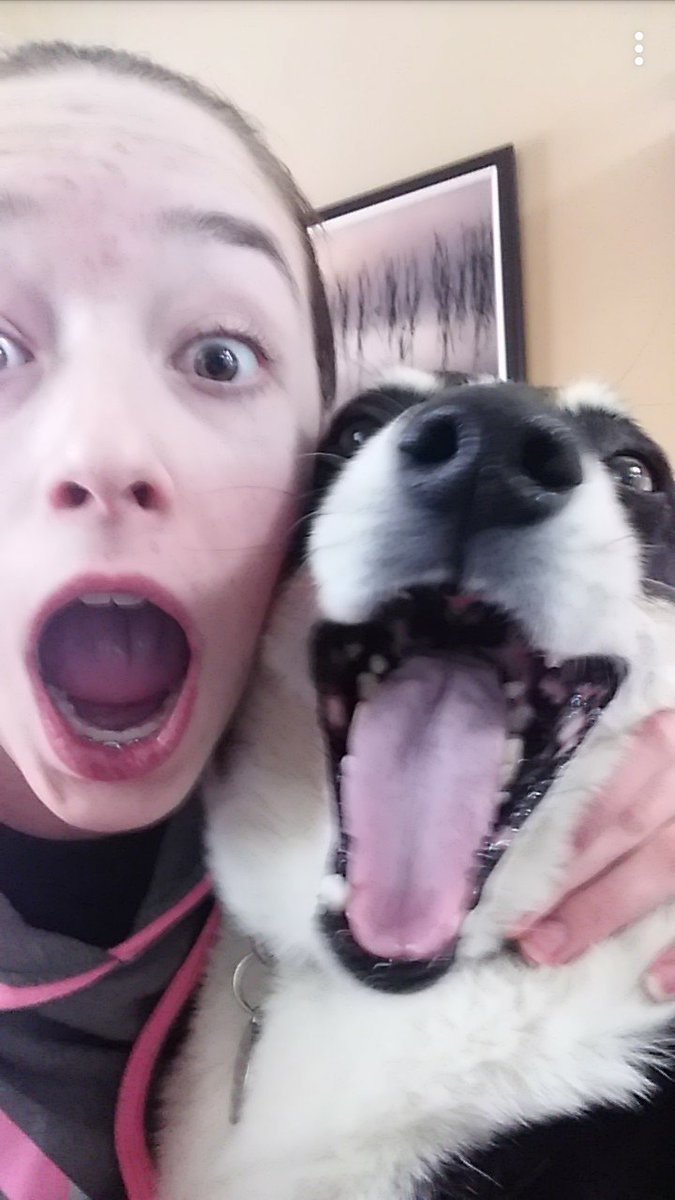 debbie250800's tweet photo. My dog has amazing taste in
music! #awolnation @awolnation #doglovers #herecometherunts https://t.co/lieUabYMVE