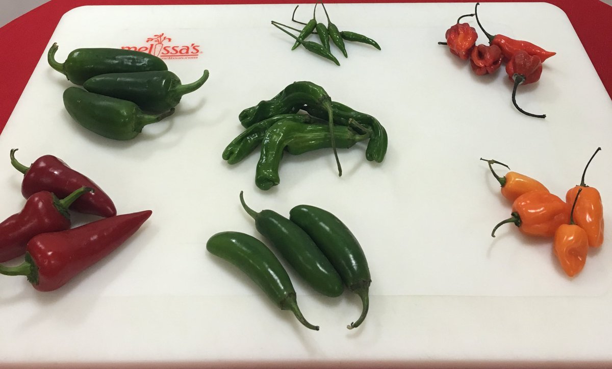 MelissasProduce's tweet image. Getting ready for the #ALSPepperChallenge at Melissa’s HQ!  @ALSTDI