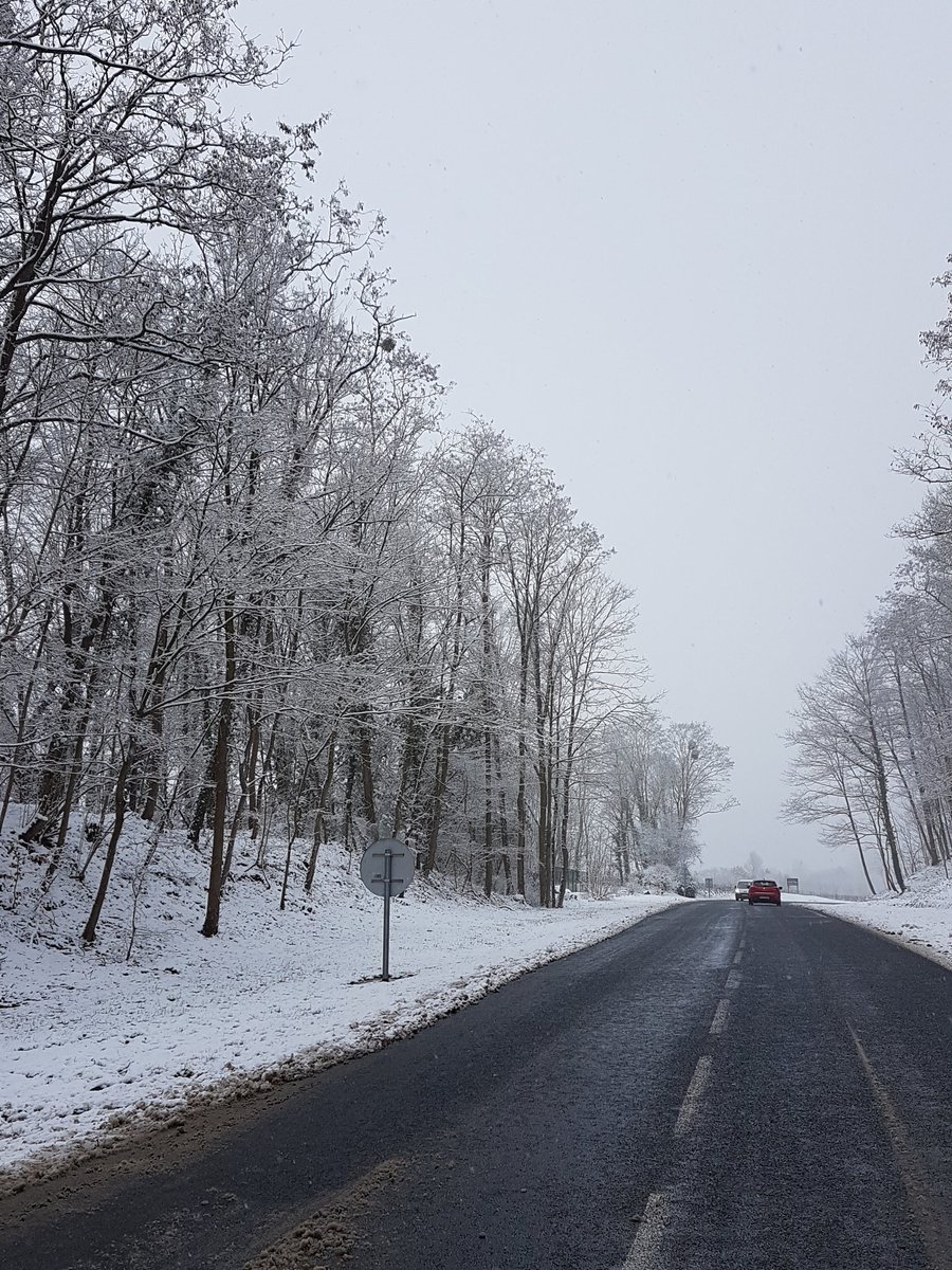 ReimsTourisme's tweet photo. La #Champagne sous la #neige ❄ https://t.co/f2UlofE1ew