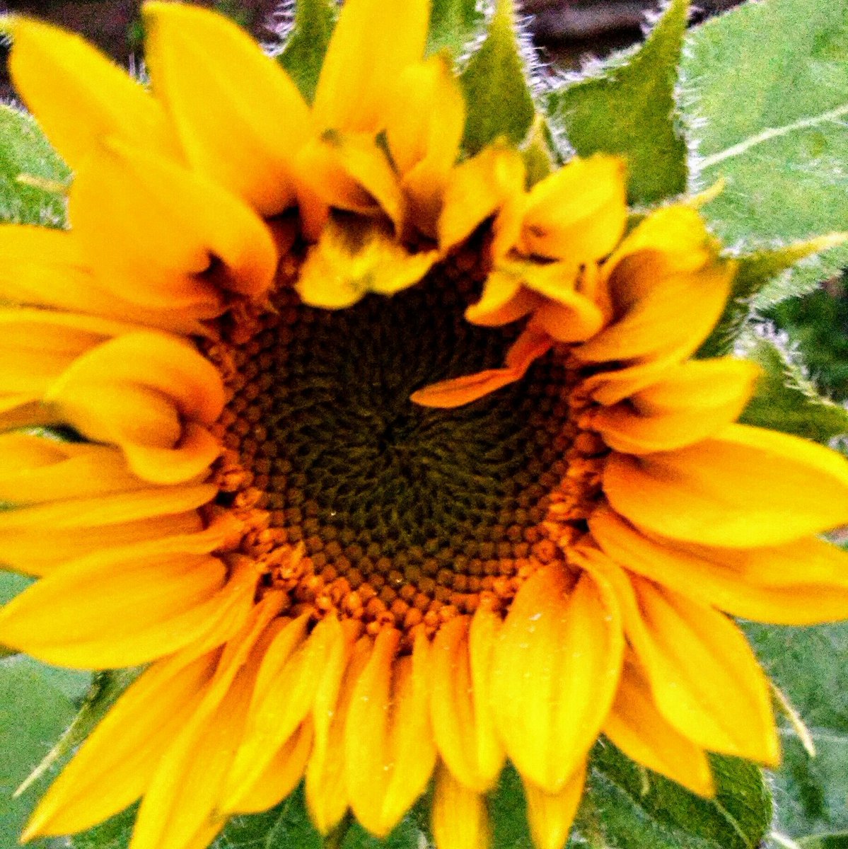 @realisticAnup <a href="/Solangeabreu11/">Maria Solange</a> <a href="/Alvarez87943541/">@ALVAREZ 👸🏼</a> <a href="/Lilika0023/">Liliane lima</a> <a href="/MariaLamedia/">Lalá</a> @criscdano <a href="/juanfactor_MLM/">Profitable business</a> <a href="/megy/">Megy Karydes</a> 😉