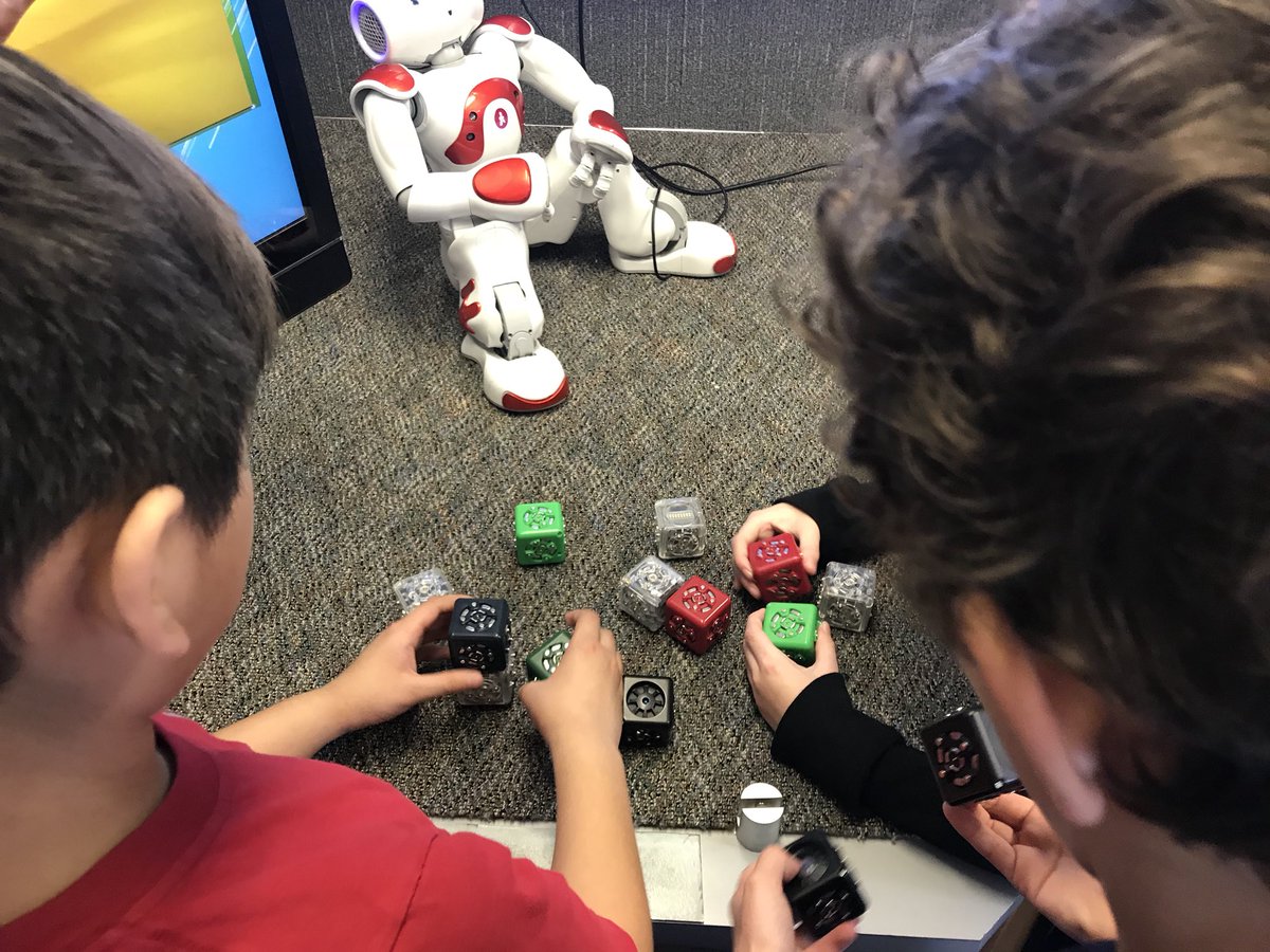 baumel_dawn's tweet photo. Future engineers, architects, botanists, forensic scientists,... @MahaffeyKISD @STEAM_Express #ScottiesScience https://t.co/pe83fk6mtf