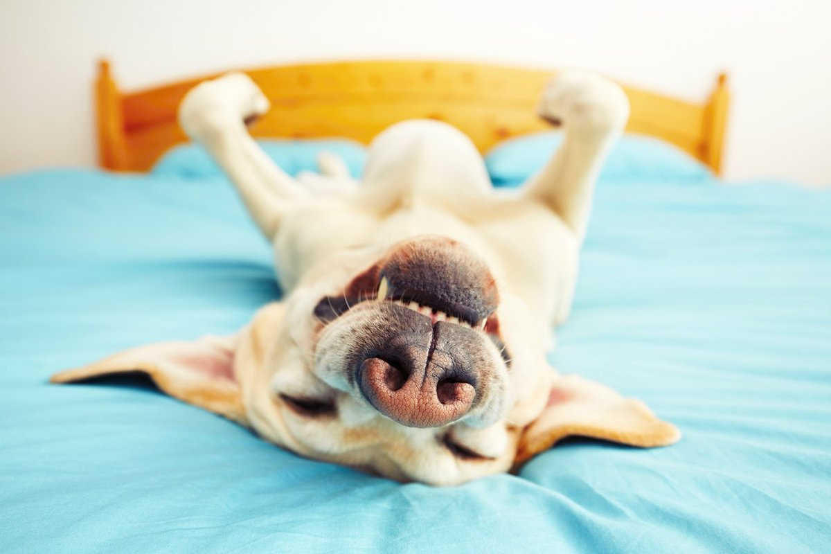 How we feel after a nice soak in a J-575!