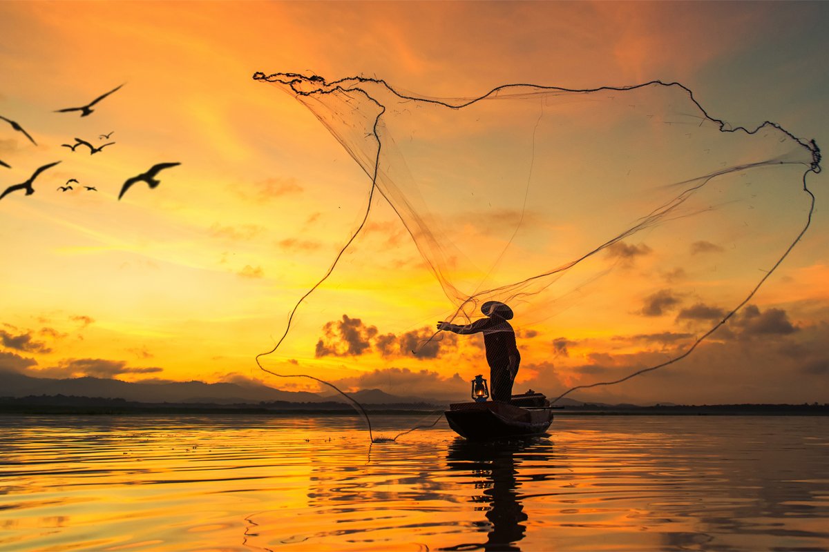 fish20org's tweet photo. With the #seafood industry in transition, these #entrepreneurs are #pitching ways to make it more #sustainable. https://t.co/ZNX5cCO0rp @CivilEats #2017fish20 #impinv #socent #startup https://t.co/L26TVi9iB0