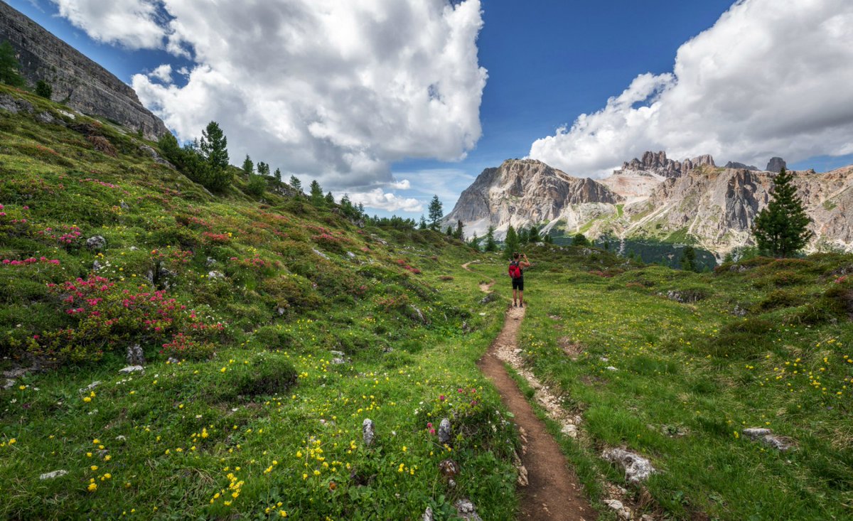 Citizen Science Network Austria (@csaustria) on Twitter photo Eine neue Rezension zu einer Publikation aus dem #citizenscience Projekt "Vielfalt bewegt! Alpenverein" <a href="/oeav/">Alpenverein AT</a> gibt es auf unserer Plattform: citizen-science.at/literatur/reze… Eine neue Rezension zu einer Publikation aus dem #citizenscience Projekt "Vielfalt bewegt! Alpenverein" <a href="/oeav/">Alpenverein AT</a> gibt es auf unserer Plattform: citizen-science.at/literatur/reze…