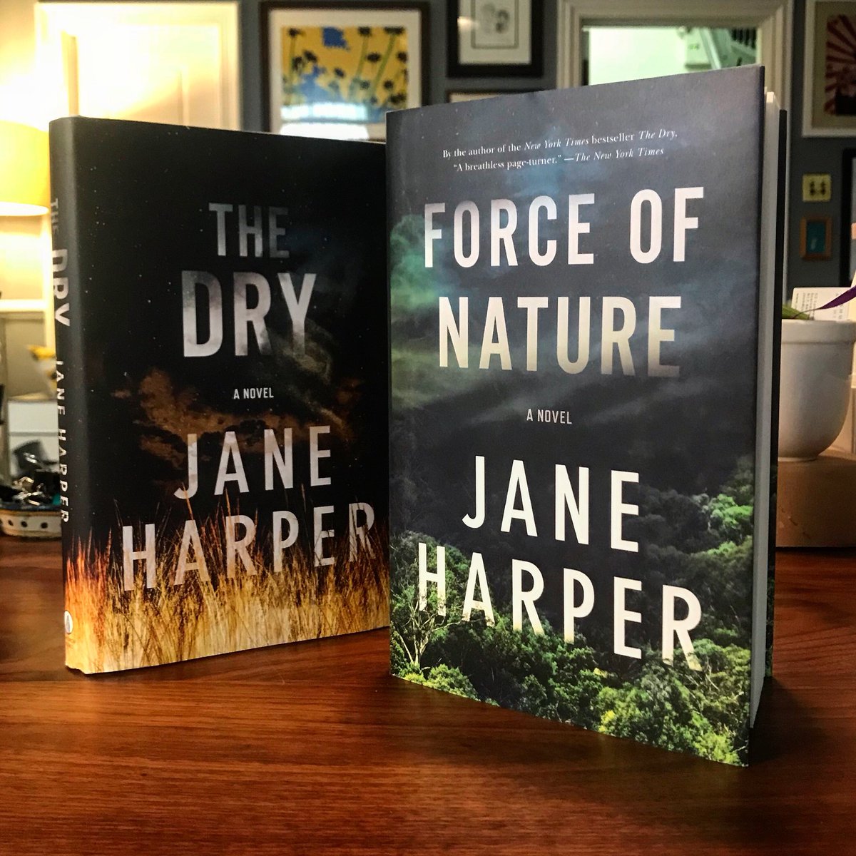 Daniel Lazar tweet media