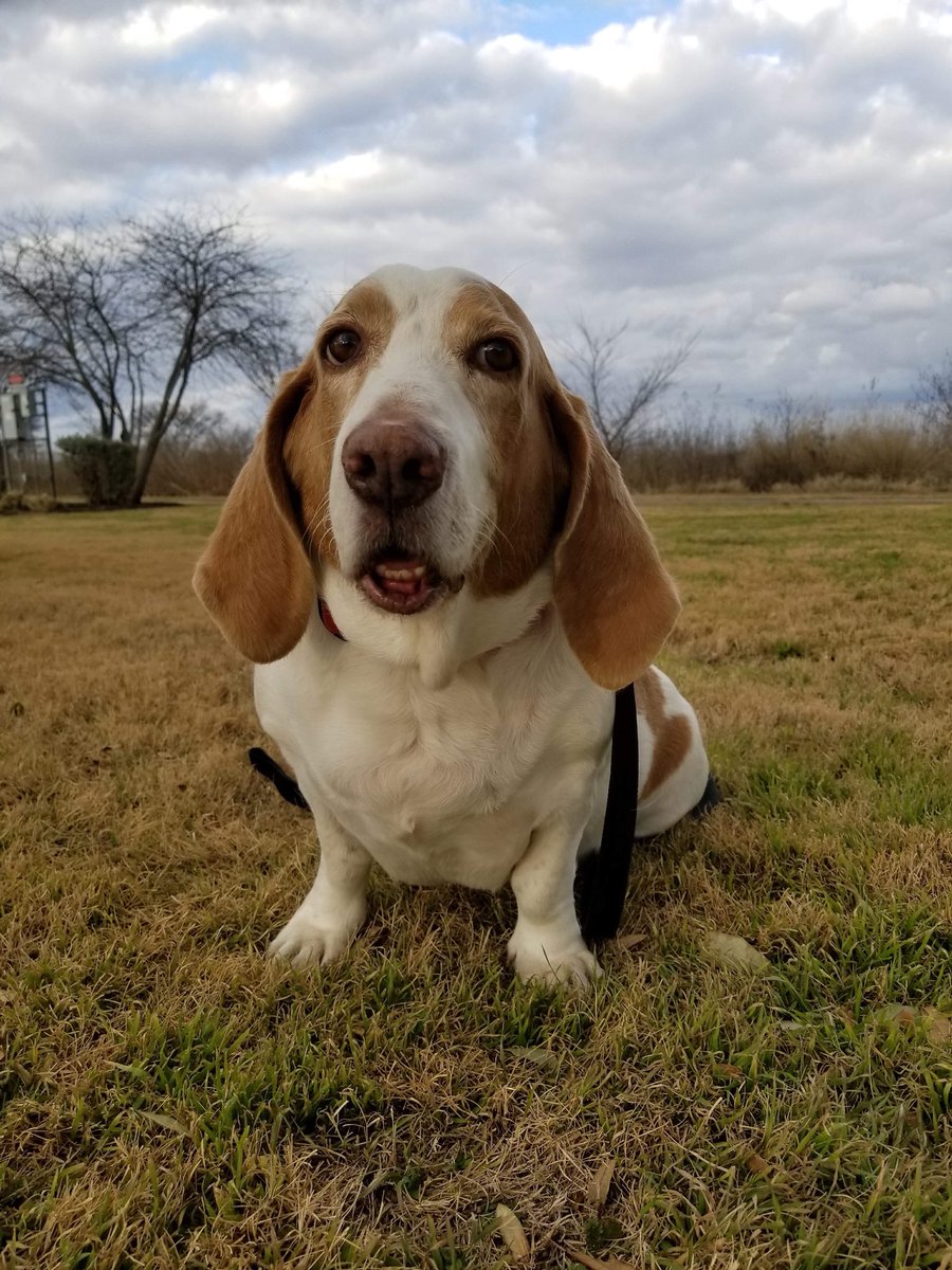 Henry turned 6 years old this week. Unfortunately he did not get a cake this year because of his weight problems but shhh we told him the cake maker was all out!