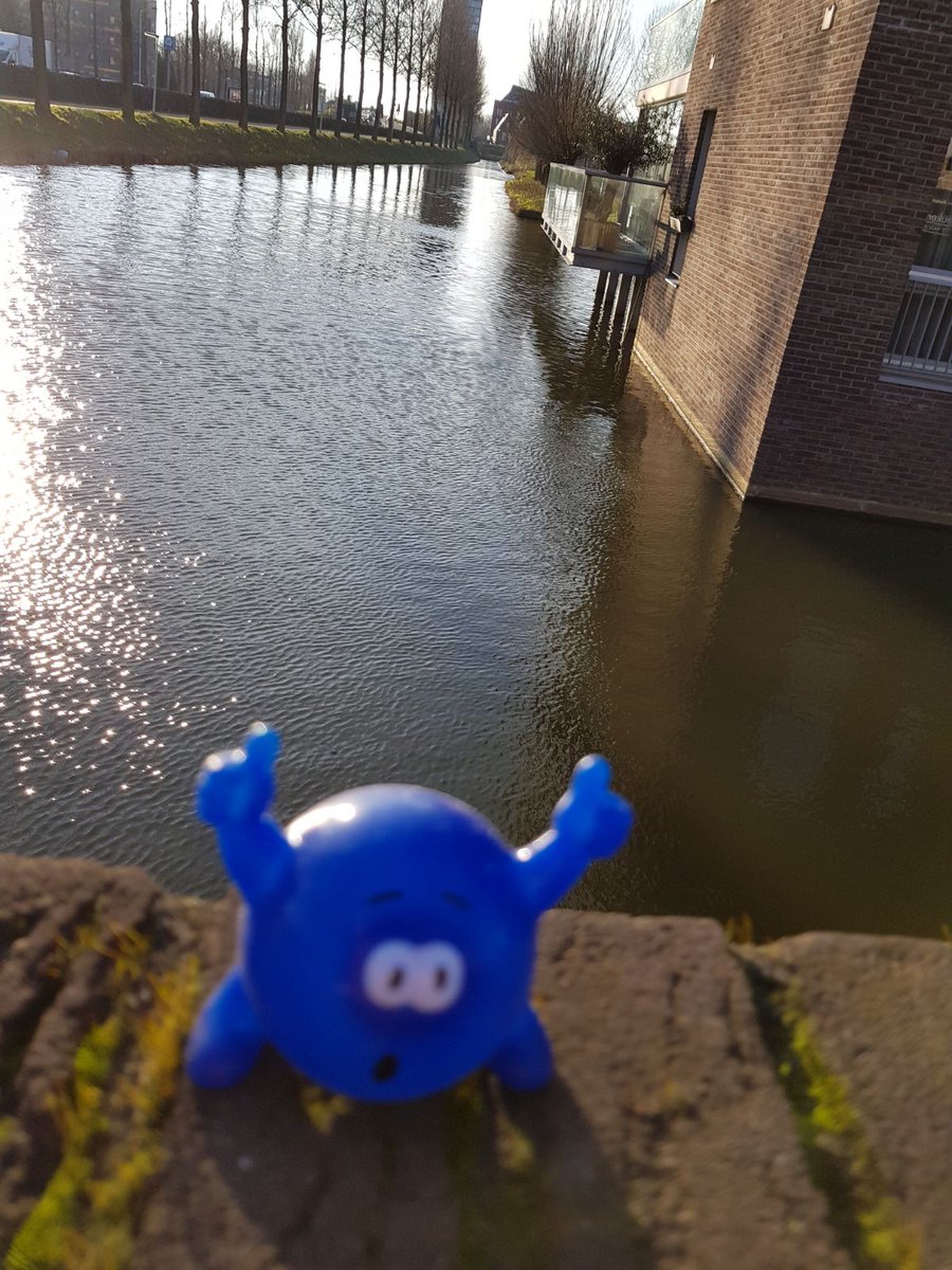 proaccel's tweet image. Ready for #ISE2018 Intergrated Systems Europe at RAI Amsterdam!