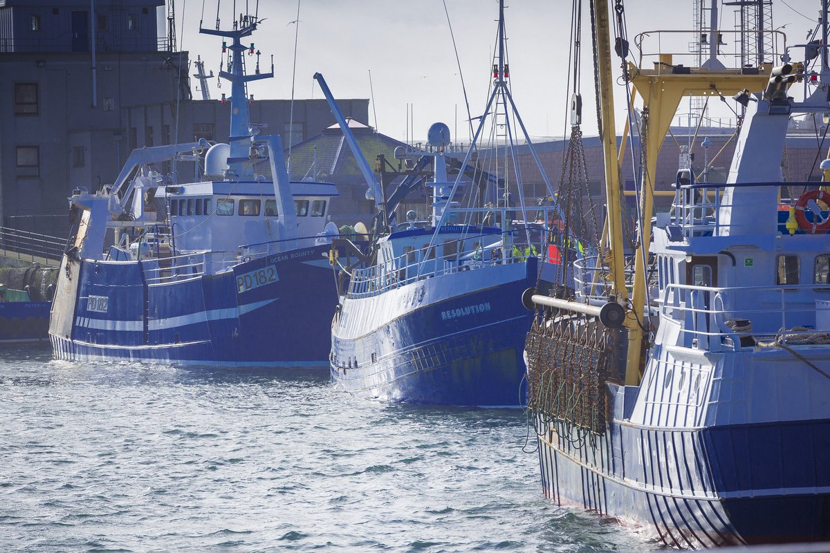 SeafoodFromScot's tweet image. Scotland has one of the most modern fishing fleets in Europe, manned by an exceptional workforce. #LoveScottishSeafood