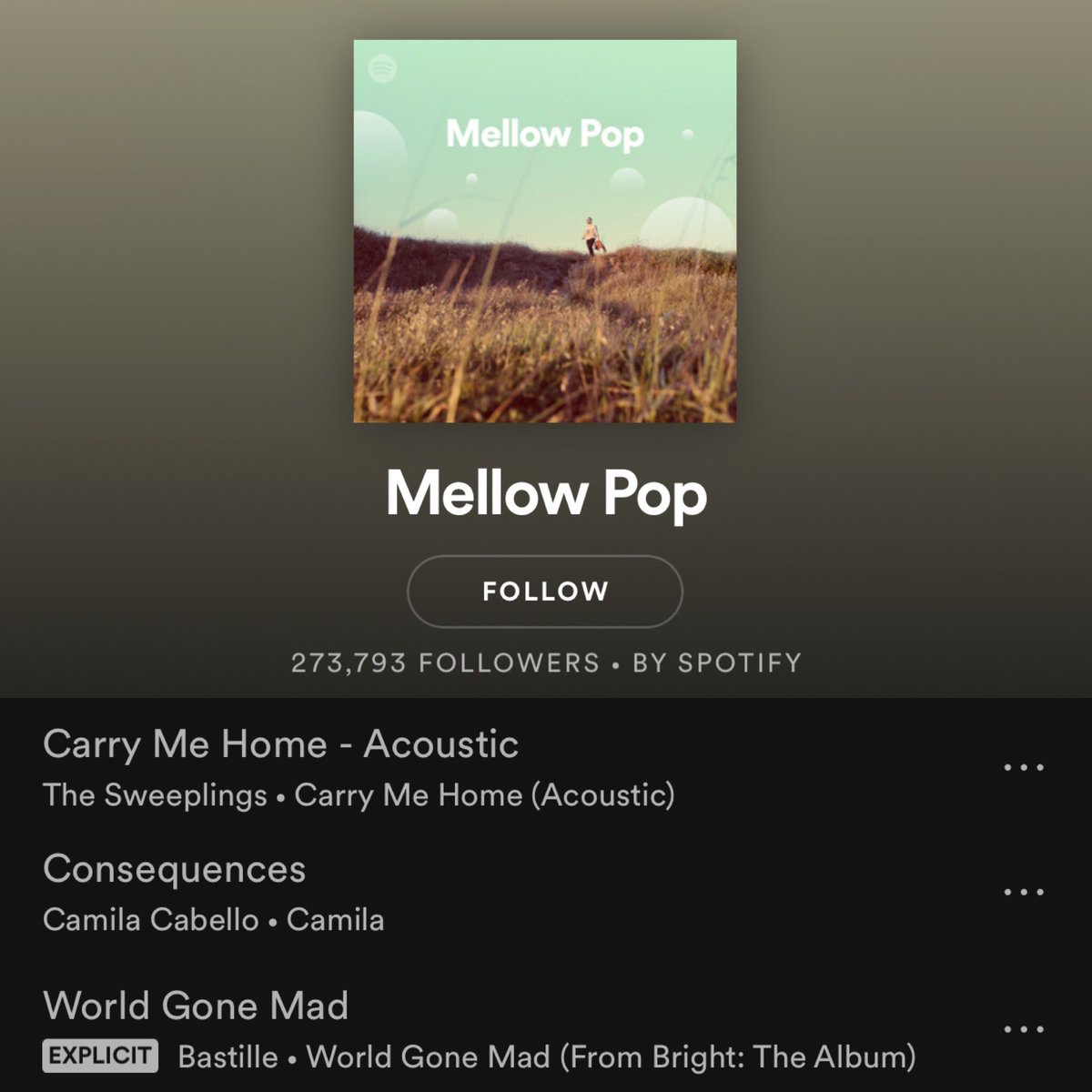 “Carry Me Home” Acoustic has been added to another great playlist. We are so grateful to <a href="/SpotifyUSA/">Spotify USA</a> for giving us love. We hope you are loving this version of one of our favorites!