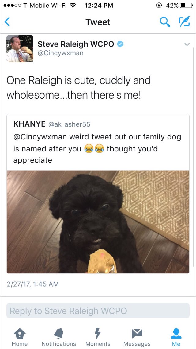 SydMalatesta's tweet photo. last year Amit sent pictures of my dog to all the news anchors in the tristate area saying he named his dog after them. Still don't even know what the third one was trying to say https://t.co/Bqv7cMqK9M