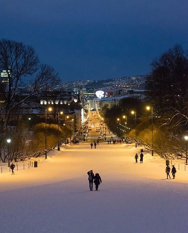 Karl Johan street from the Royal Palace #oslo #visitoslo Photo: @jeakysnap ift.tt/2BH9XOj