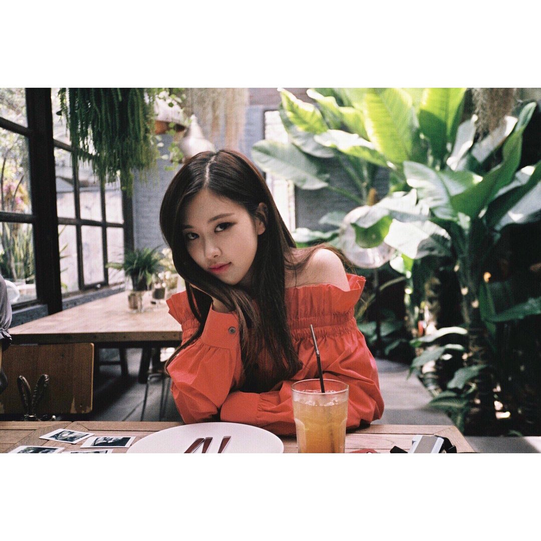 FrBlackPink's tweet photo. [INFORMATION] 18.02.06 - Publication sur le compte Instagram de BlackPink par Rosé.
#BLACKPINK #ROSÉ #LESROSESSONTROUGES #VOILAPOURQUOIJEPORTEDUROUGE #💋 #BAHAHA #VOUSMEMANQUEZ #MESBLINKS #LeJourOùJaiBeaucoupMangé 
#JeFaisCommeSiJeNavaisPasÉtéPhotographiée #BLACKPINKHOUSE! https://t.co/F0CS2aPuHX