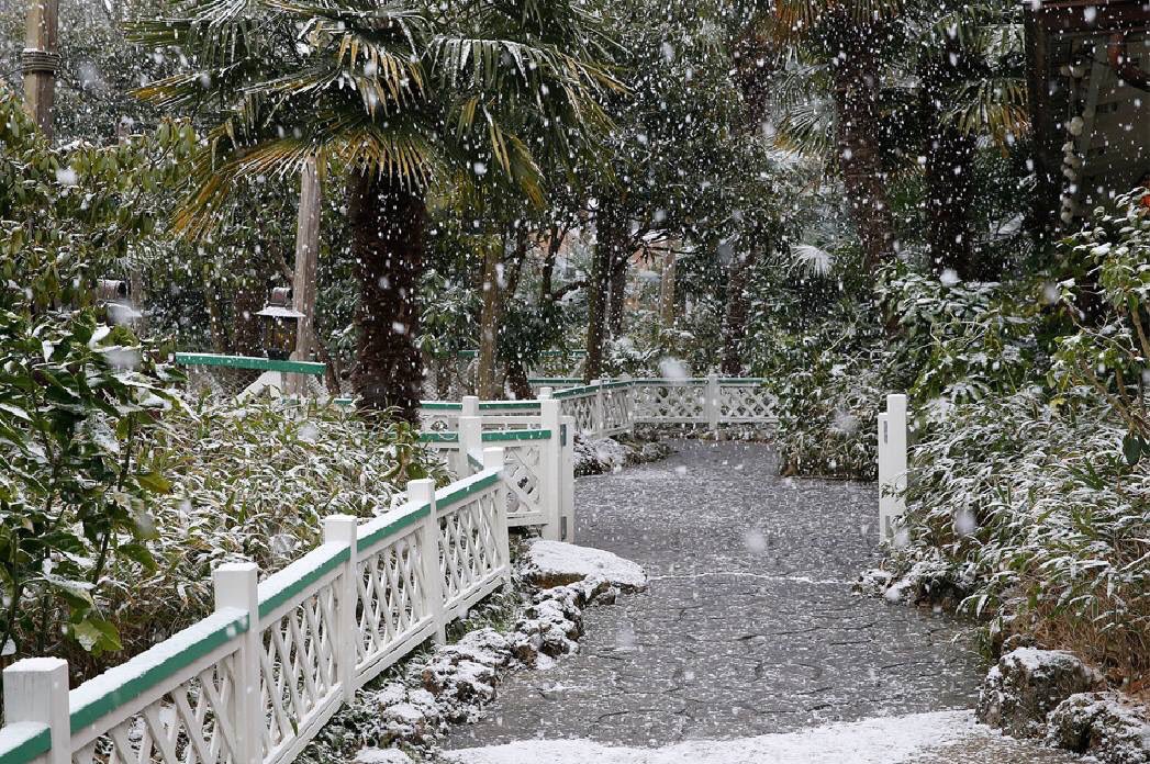 GossipRoomOff's tweet photo. Quand la neige s’invite à Adventureland, Disneyland Paris ! ☃️❄️💫 https://t.co/veIMzdiIkG