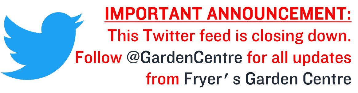 Fryer's GC & Roses tweet media