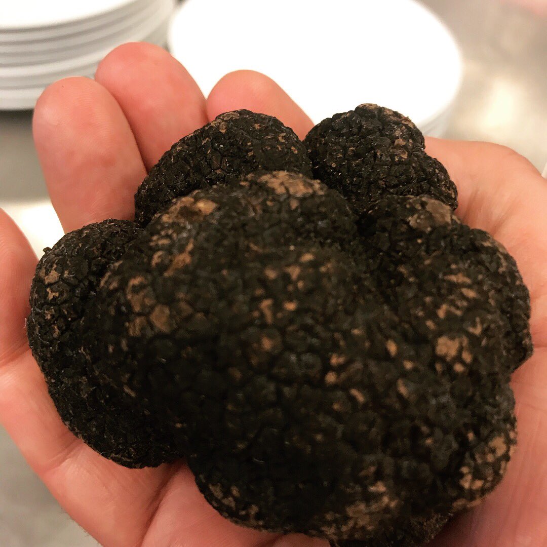 Some of “the treasures”of the day: King Crab,first Morels of the year,Maine Sea Urchins,Périgord Trufle... <a href="/LeBernardinNY/">Le Bernardin</a> kitchen