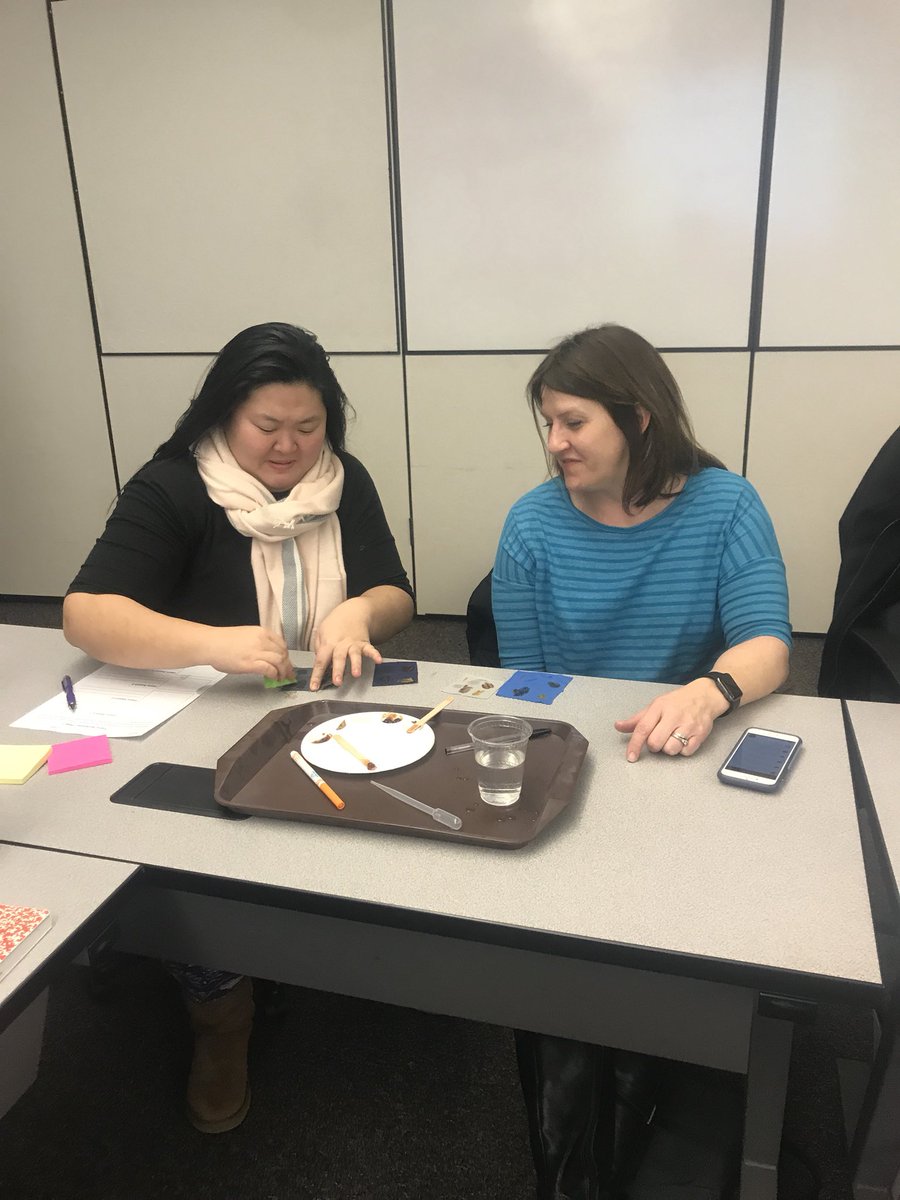 neatec_nsf's tweet photo. Kindergarten through second grade teachers from Ravena Coeymans Selkirk Central School District learned about nanotechnology by experimenting with nano fabric and learning about size and scale at the nano level. https://t.co/XHkZspFKIX