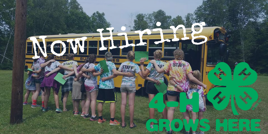 WisconsinValley's tweet image. UW-Extension is hiring a Marathon County 4-H Program Coordinator. Follow the link for more information and to apply: ow.ly/9xgW30ieQcs