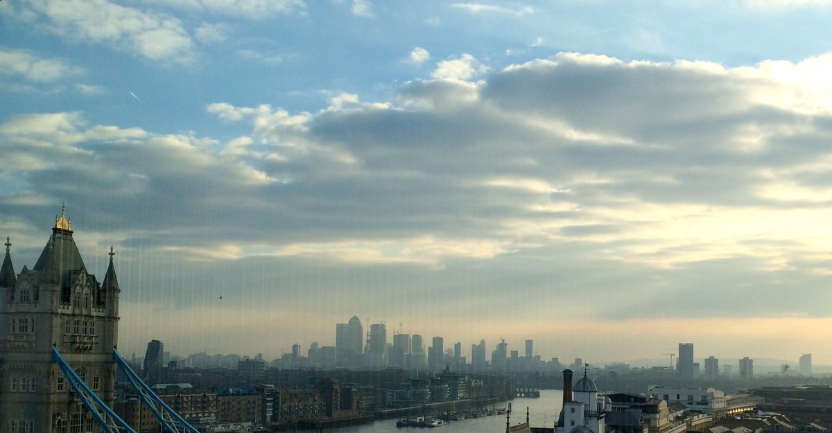 Rose Constantine tweet media