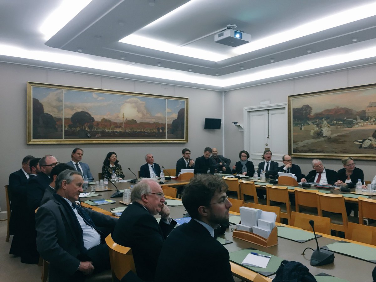 Quebec_FR's tweet photo. Députés et sénateurs rassemblés pour entendre @JeanMarcLeger1 et @nantel_jacques présenter le Québec contemporain au @Senat à l’occasion de la sortie du livre #CodeQuébec en France https://t.co/eWURDoh0HA
