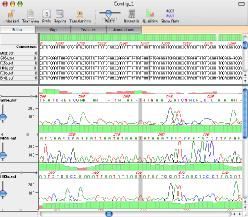 download implicit linear systems 1991