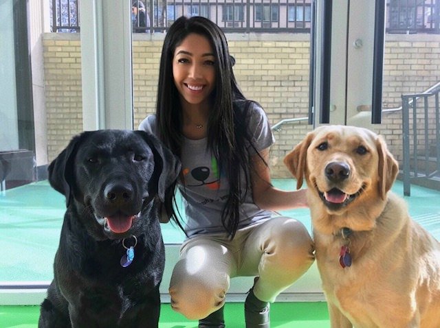 KidsFrolic's tweet photo. Meet our team of furry friends! The dogs are our stars here at Frolic. Learn more about them here: https://t.co/wsDXCVPpFH https://t.co/YoNnLcnWot
