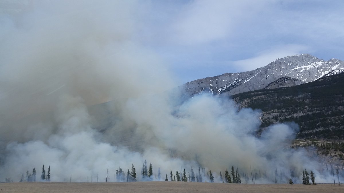Don't miss tomorrow's SERNW webinar: The role of fire in disturbance, conservation, &amp; restoration. Seating is limited, so register now! ow.ly/TET330id6oH