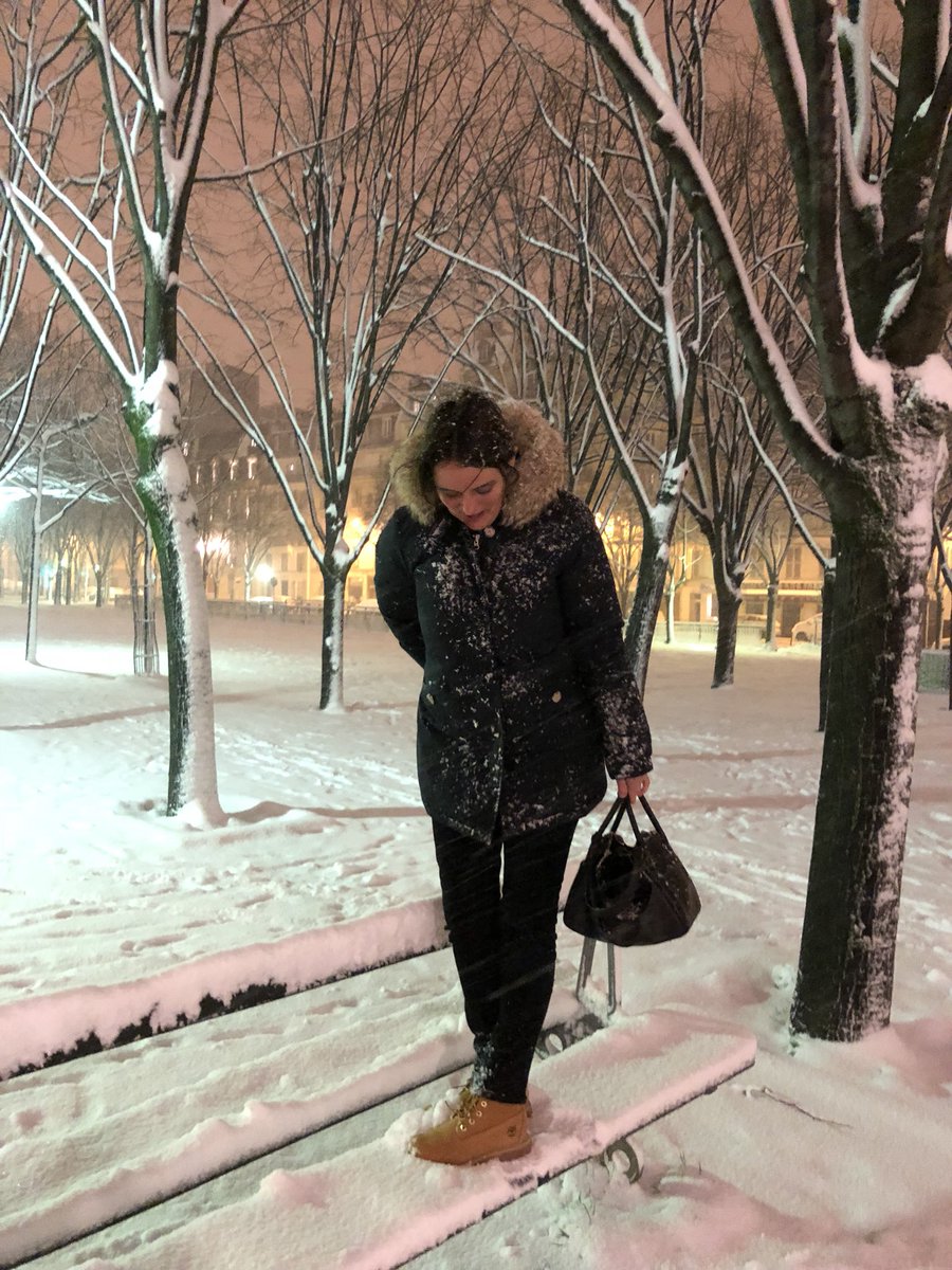itfitzsimons's tweet image. Neige à Paris.