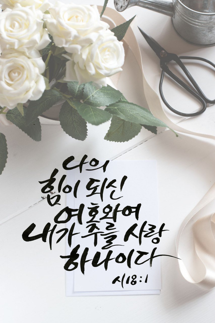 내 영혼의 한수 on Twitter: 내 영혼의 한수 On Twitter: