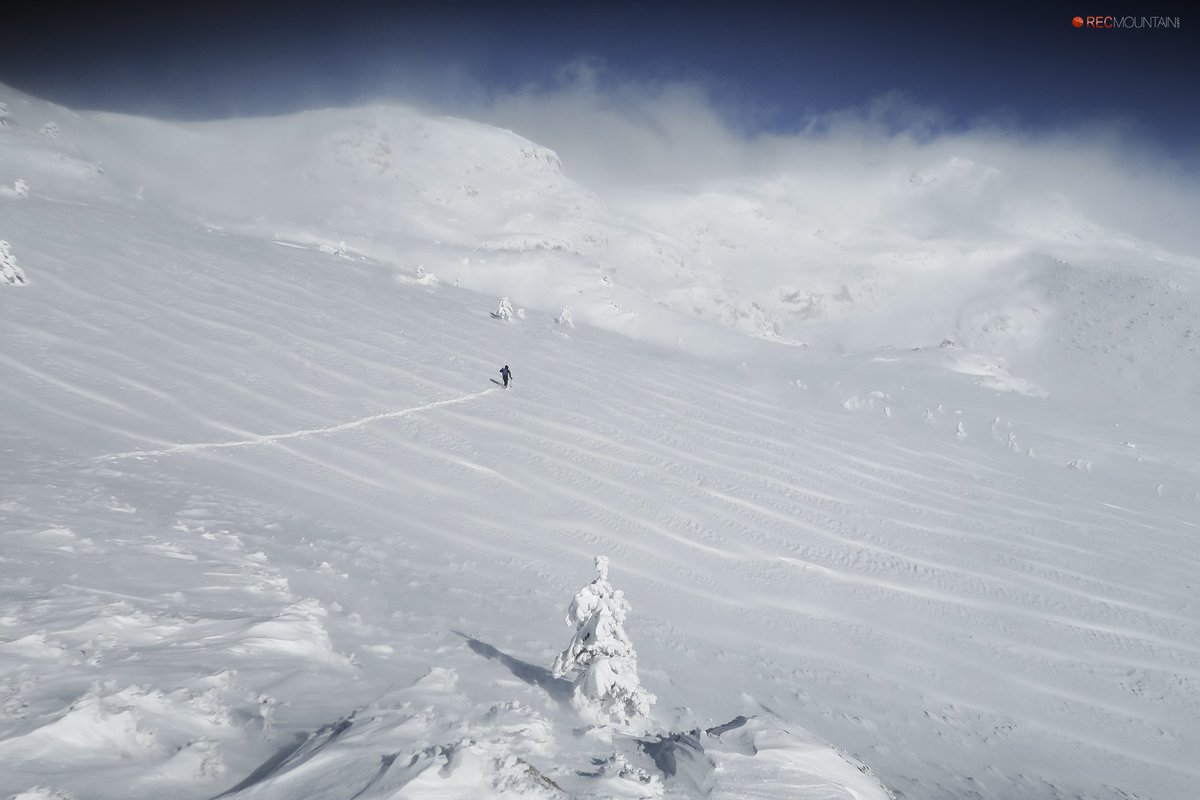 Nivologic tweet media