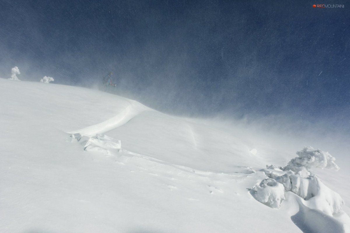 Nivologic tweet media