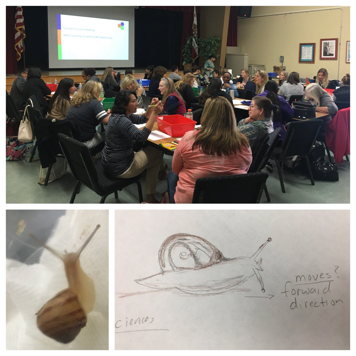 rtarshes's tweet photo. @sdschools TK teachers working on their new #NGSS life science #ElementaryScienceIsKey https://t.co/F1dl7uqMAF