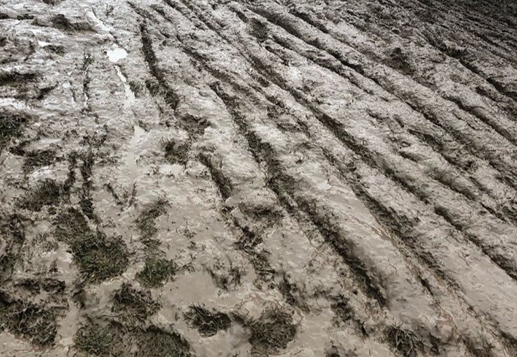 Cannondale Cxworld On Twitter The Limburg2018 Mud Was No Match