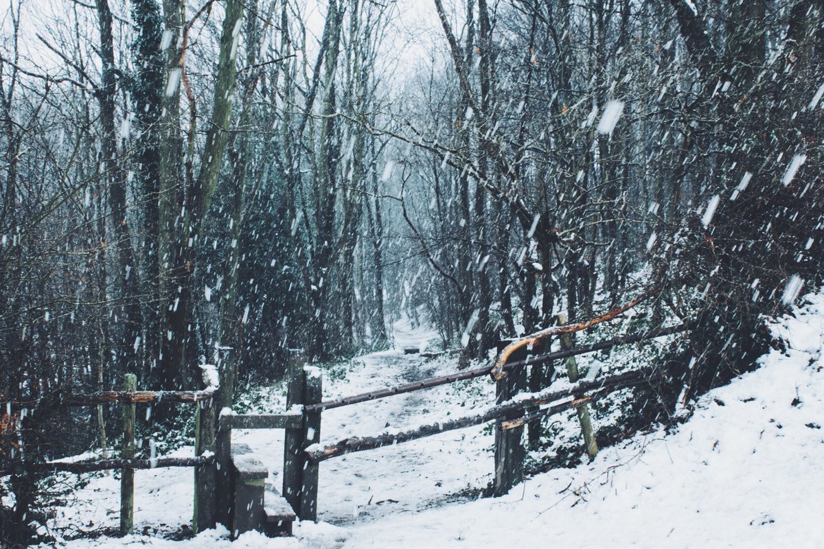 DanielCasson1's tweet photo. Snow in Ridgeway ❄️🌨 https://t.co/e8BWCPnb0p
