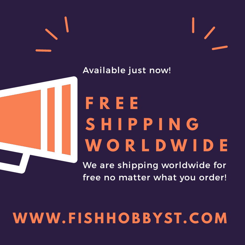 fishhobbyst's tweet image. Just now, we are shipping worldwide for FREE! No matter what your order! Check out at fishhobbyst.com 😄🐟 #fish #fishkeeping #tank #aquarium 
Grab a 5% off discount coupon delivered on your email! Coupon will never expire 😊💕