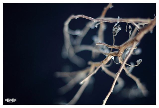 DME_Utah's tweet photo. Calm and peaceful...(link to purchase prints in my bio)
.
.
.
#stilllifephotography #art #artist #artlover #artaddict #artcollector #abstract #abstractart #abstractexpressionism #abstractphotography #fineart #fineartprints #fineartphotography #emergingar… https://t.co/89yEp6pVZX https://t.co/JxSBGQvHa0
