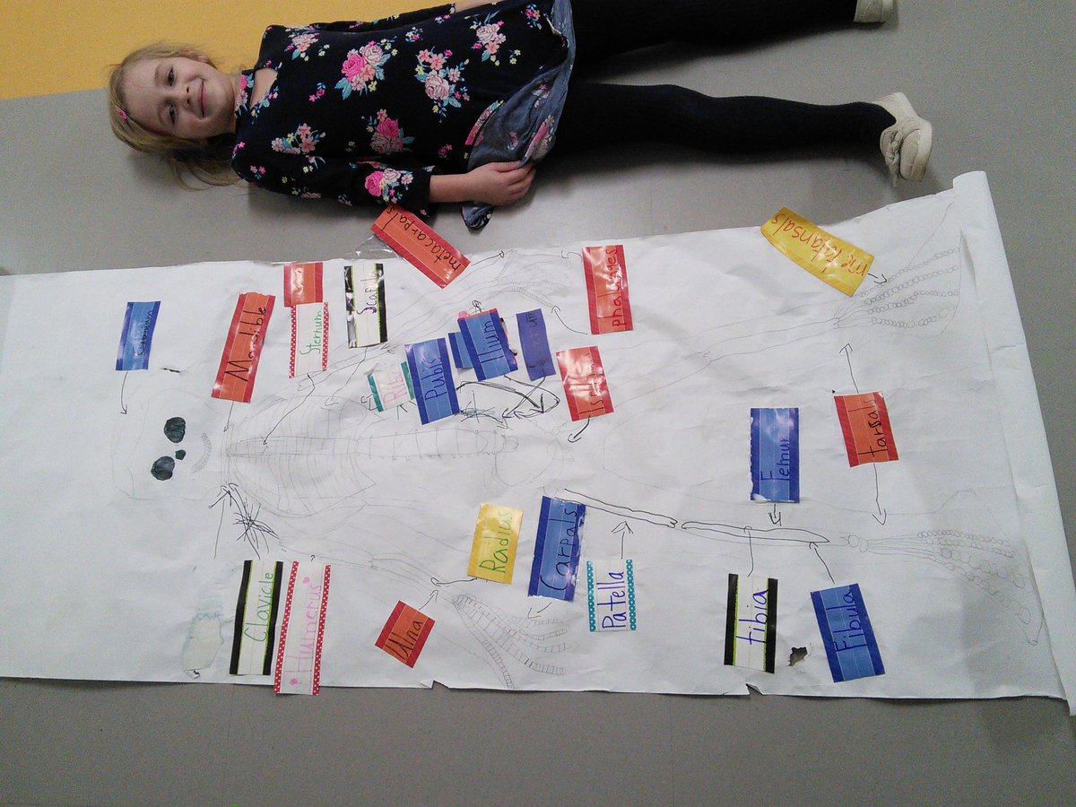 MrsKavsCoaching's tweet photo. Another fabulous enrichment project inspired by @Ridge_PE 's bone unit. @RidgeFCL https://t.co/hIKN4Wf4fu