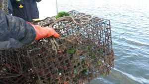 wildlifenj's tweet photo. Ghost Fishing https://t.co/NxKJUqHuT6 https://t.co/5Mcw1E3raN
