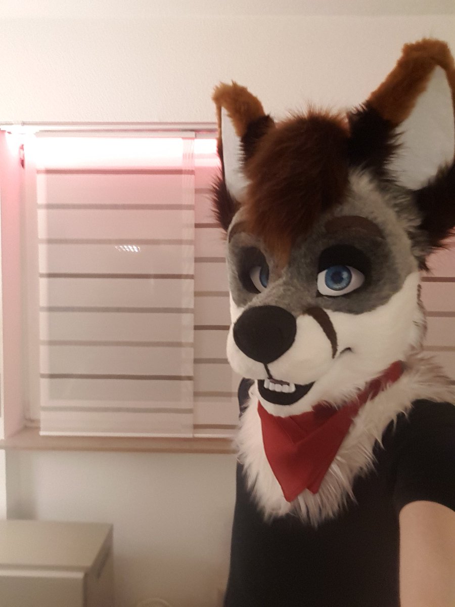 Colin_Foxy's tweet image. Got two cool new bandanas 😍
(ignore fleshy arms pls)