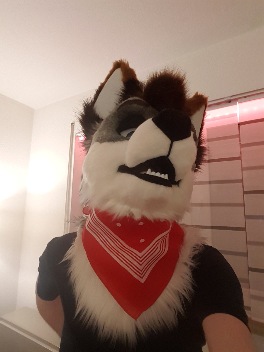 Colin_Foxy's tweet image. Got two cool new bandanas 😍
(ignore fleshy arms pls)