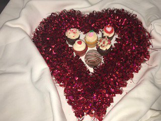 cupcakesnobs's tweet photo. Valentine's Day is big around here. At Cupcakes Actually, we'd like to think we are a Valentine's staple. Cupcake packages have been designed to impress. Minis, half dozens or even a two pack for just you and that special person. Order 24-hours in advance: https://t.co/8Kv9Nv9yn2 https://t.co/jeWANfopUN