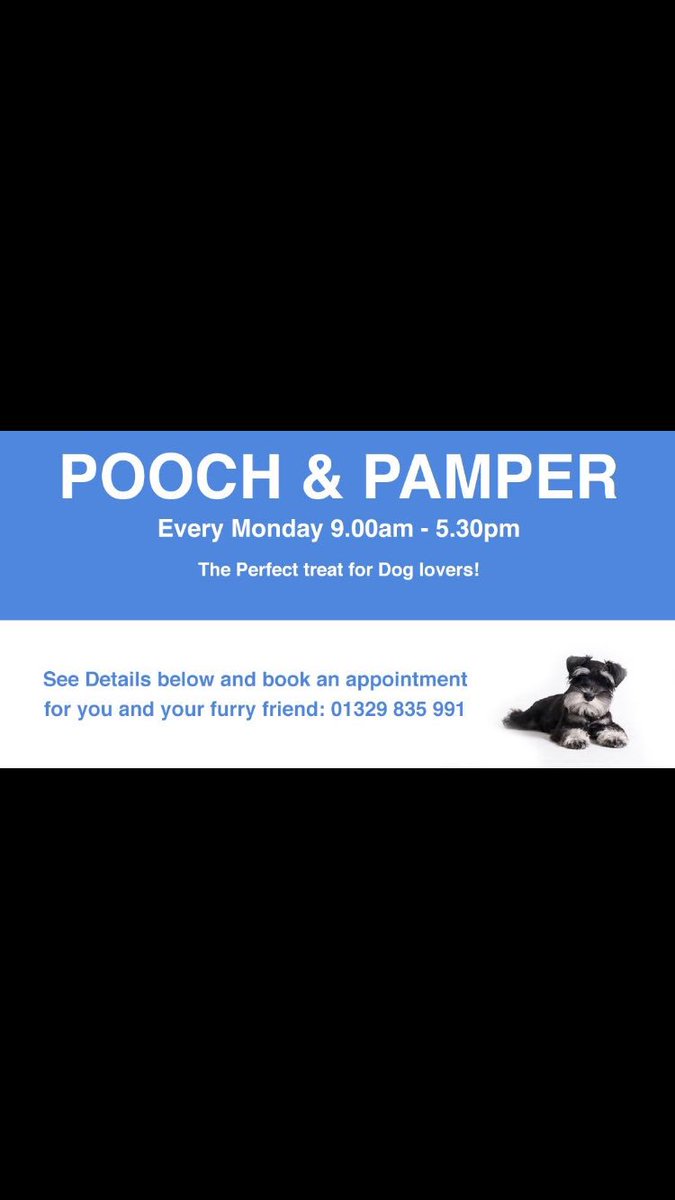 Sage_Hair's tweet photo. Introducing our latest package here at Sage!
POOCH & PAMPER 🐾
Starting monday 12th Of Feb!
Visit our website for more details!🌿 https://t.co/jA4sVtW29F