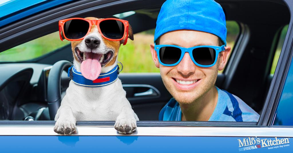 MilosKitchen's tweet image. Styled like you? Now let him snack like you. miloskitchen.com/treats