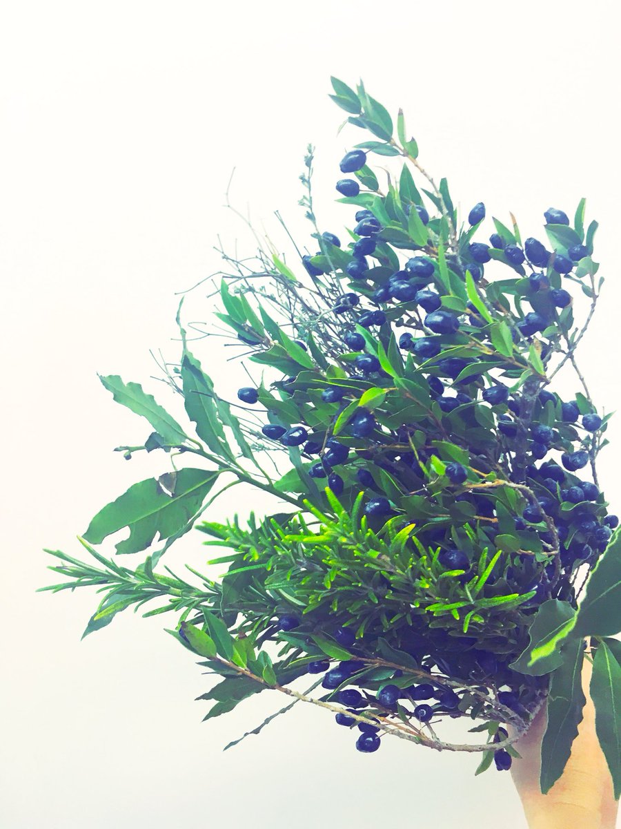 stop in &amp; pick up a mixed herbal bunch • $25 🌱💙 #Ottawa