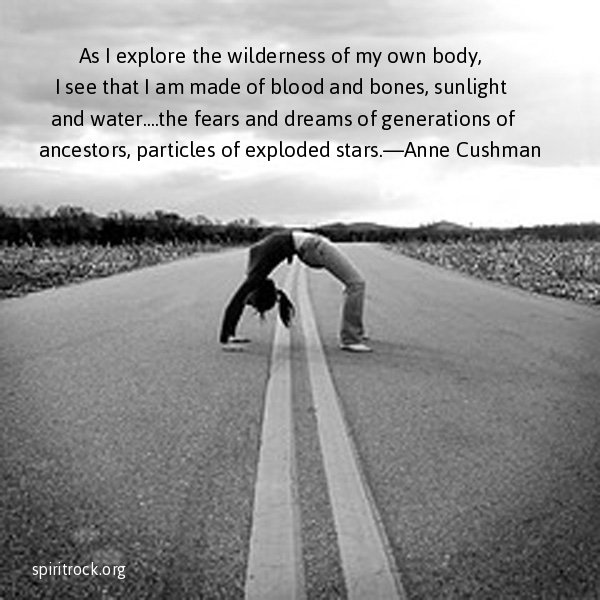 #yoga #meditation #mindfulness