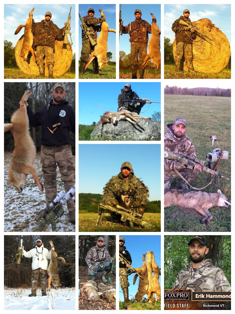 Htth16Htth's tweet image. Erik Hammond, Field Staff at FoxPro likes shooting canines, so much so that he appears to have also shot a dog! That&apos;s no coyote!! 
facebook.com/HTTHBanTrophyH…

#StopKillingCoyotes #StopKillingFoxes #StopKillingPredators #BanTrophyHunting #BanTrophyKilling