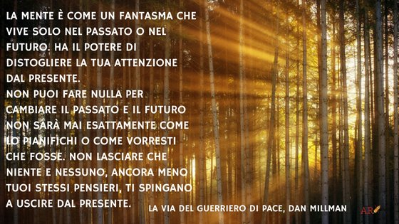 La Via Del Guerriero Di Pace Frasi