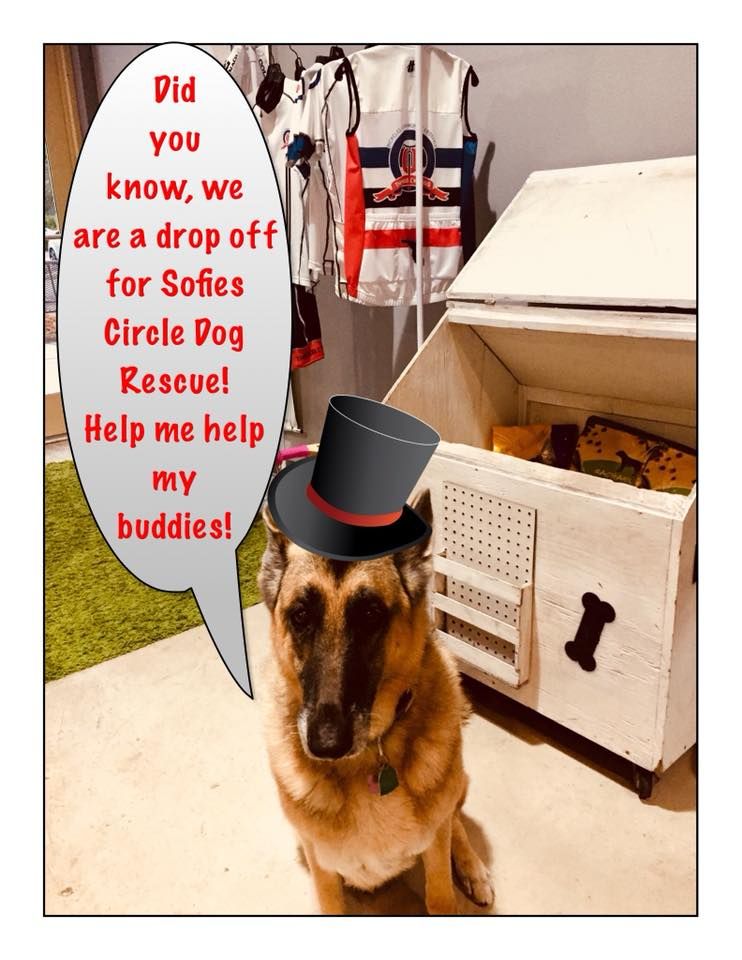 Did you know that we're a drop off location for #SophiesDogCircleRescue? Dog food to pet beds--all is needed! Not everyone can foster or rescue a dog but they want to help, we make it little easier. buff.ly/2Ek8pe1 #rescue
