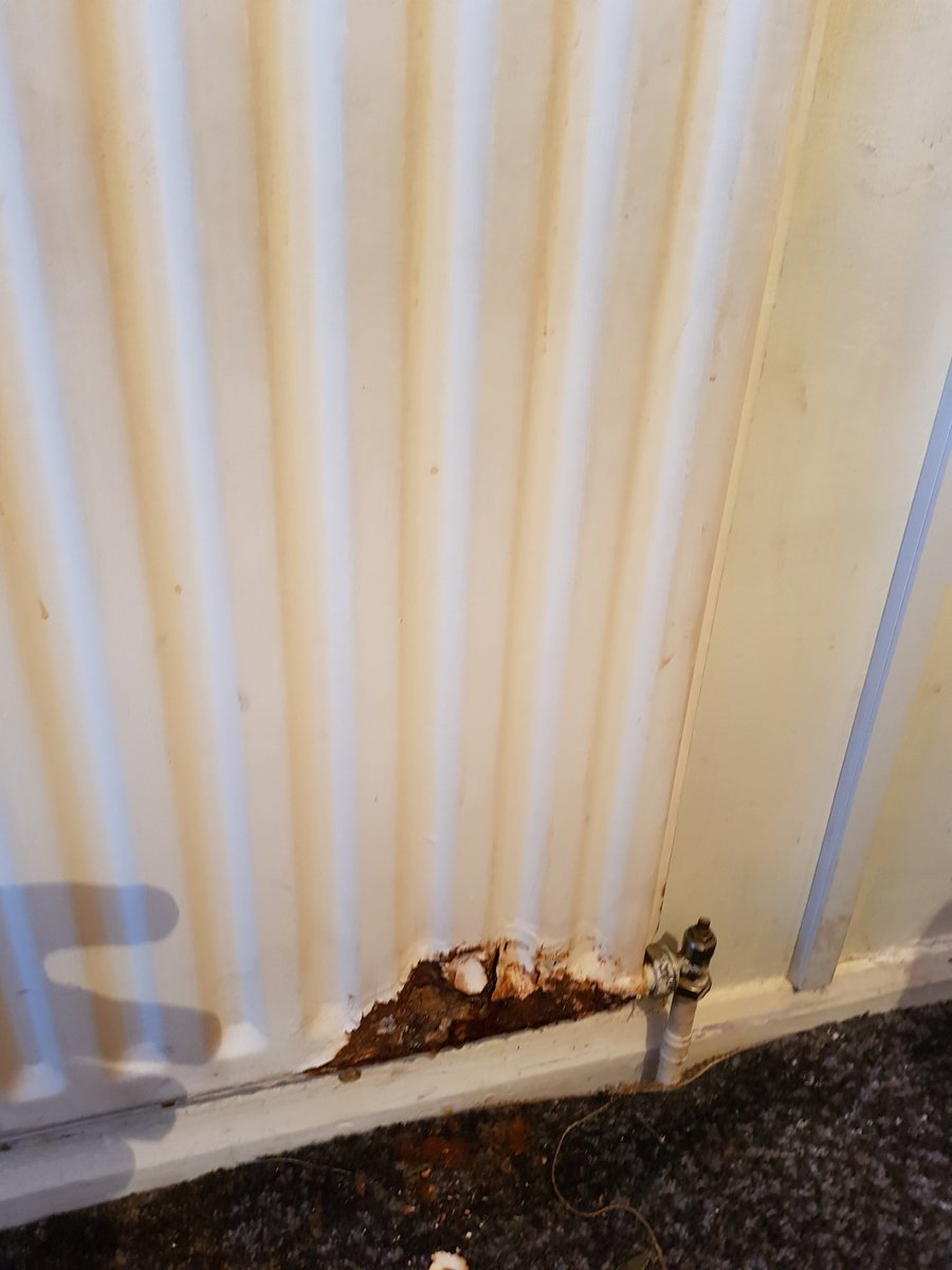 Little bit of rust on your rad ma'am,? @HeatingBarrett <a href="/plymouthgas/">Plymouth Gas</a> <a href="/GasManGod/">The Gas Man Cometh ✝️</a>